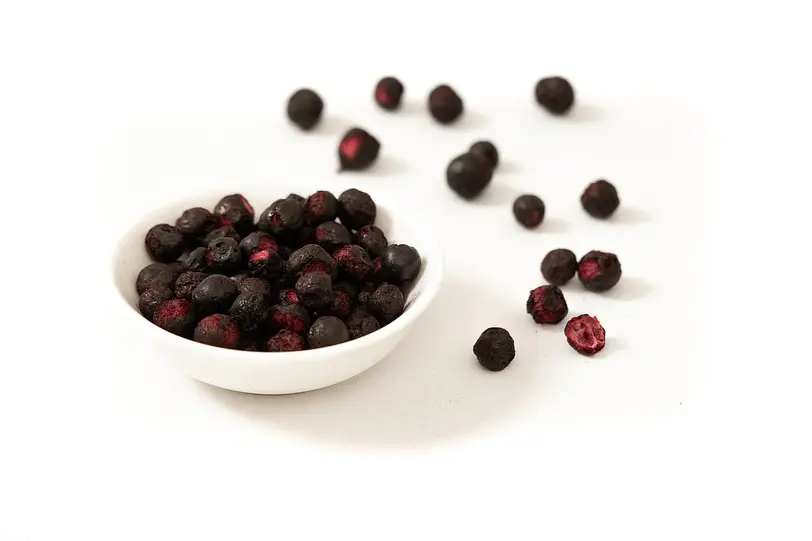 Naturkostbar Heidelbeeren Wild gefriergetrock. Bio roh