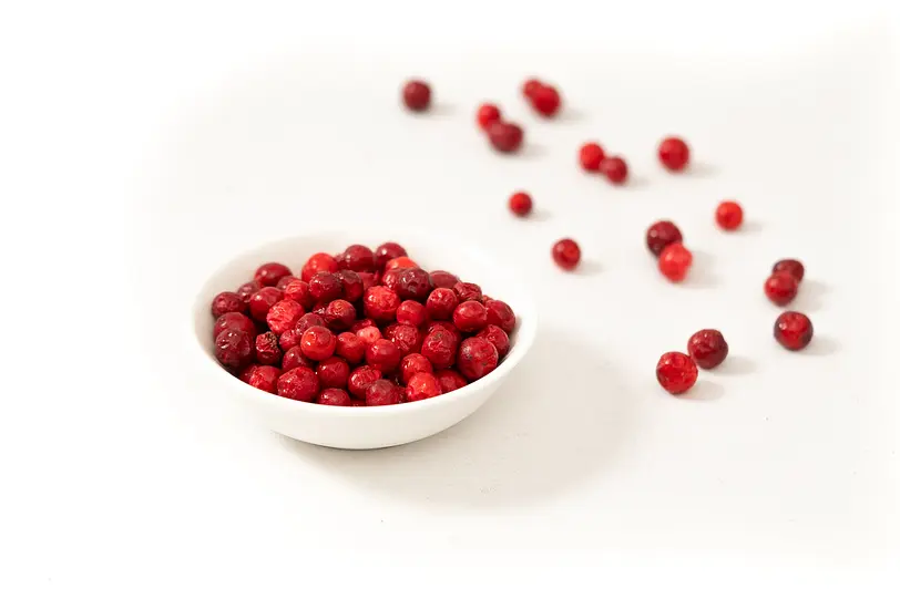 Naturkostbar Preiselbeeren Wild gefriergetrock. Bio roh