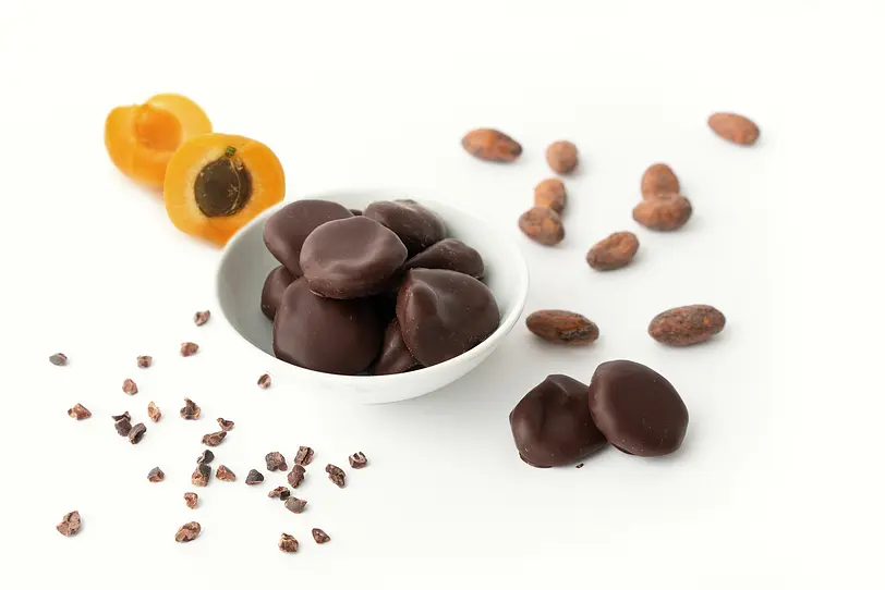 Naturkostbar Schokoladen Aprikosen Bio vegan roh