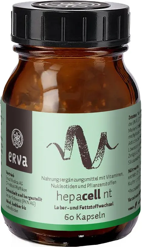 Nukleotide Hepacell