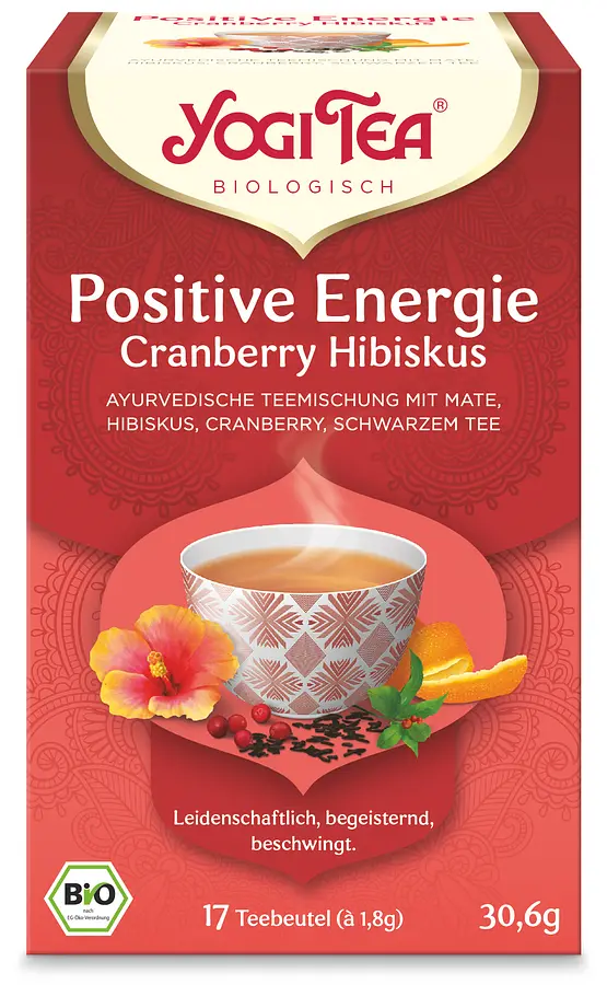 Yogi Tee Positive Energie 17Btl Bio
