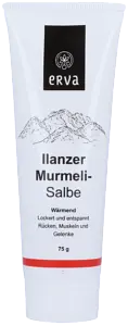 Bündner Murmelisalbe