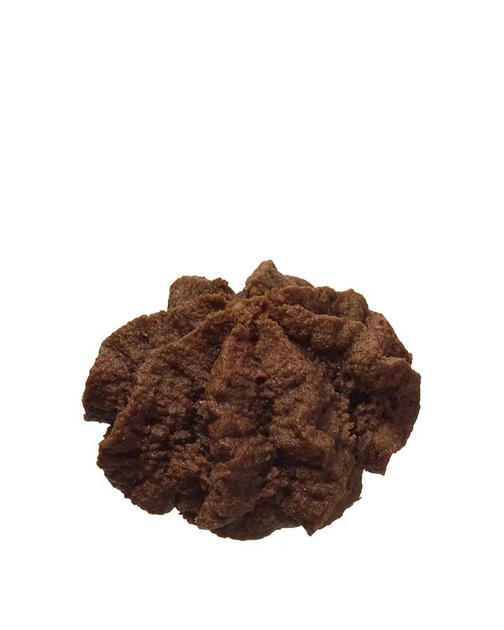 Guggenloch Schoggi Jumbo Bio vegan gf
